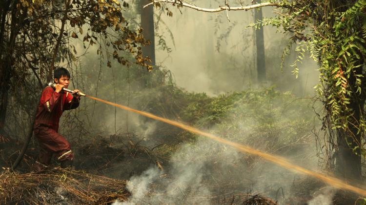 Boy hosing fire in forest